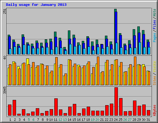 Daily usage for January 2013