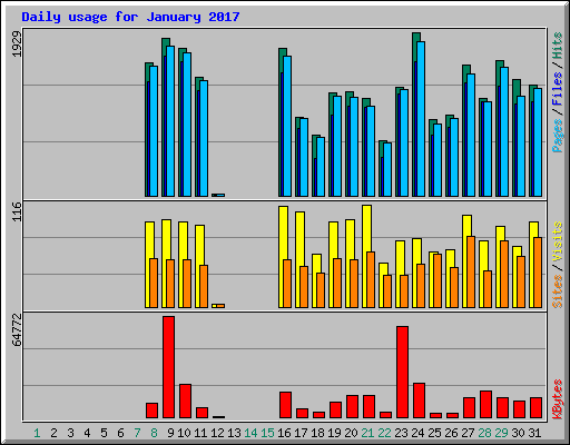 Daily usage for January 2017