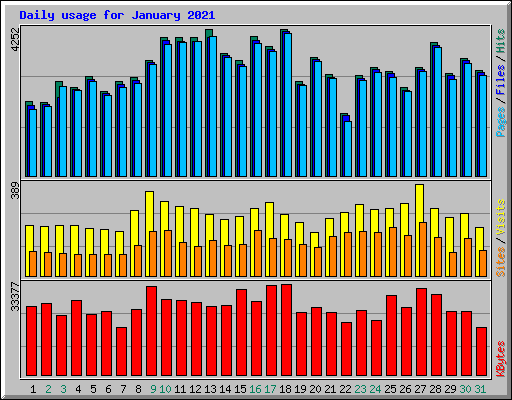 Daily usage for January 2021