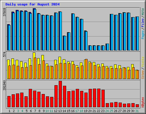 Daily usage for August 2024