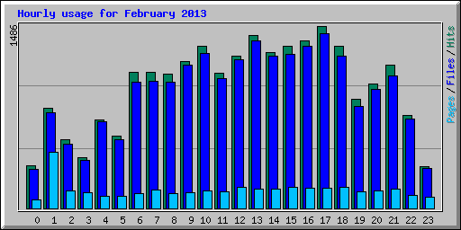 Hourly usage for February 2013