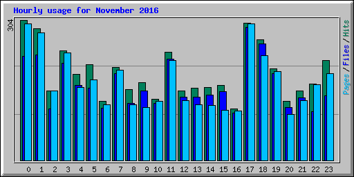 Hourly usage for November 2016