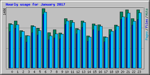 Hourly usage for January 2017