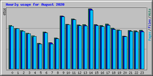 Hourly usage for August 2020