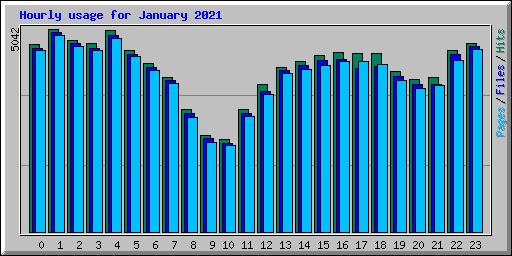 Hourly usage for January 2021