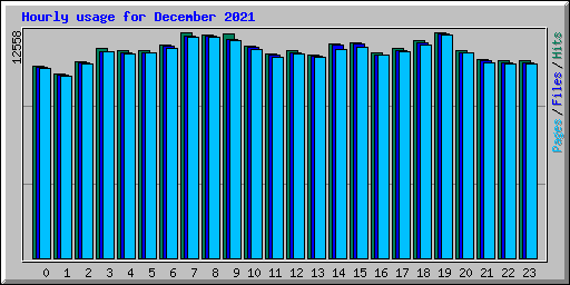 Hourly usage for December 2021