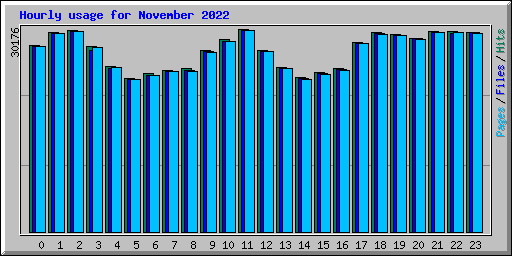 Hourly usage for November 2022