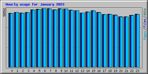 Hourly usage for January 2023