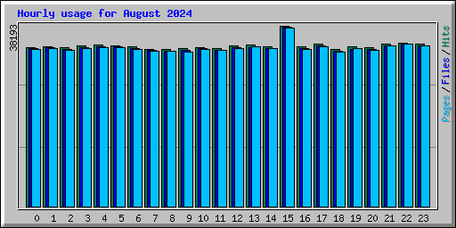 Hourly usage for August 2024