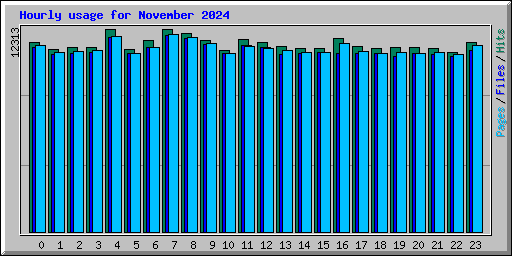 Hourly usage for November 2024