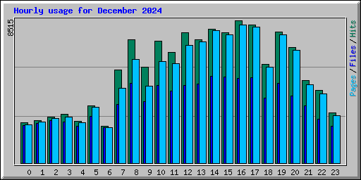 Hourly usage for December 2024