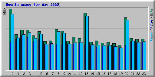 Hourly usage for May 2025