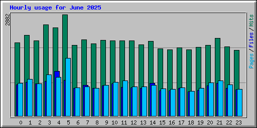 Hourly usage for June 2025
