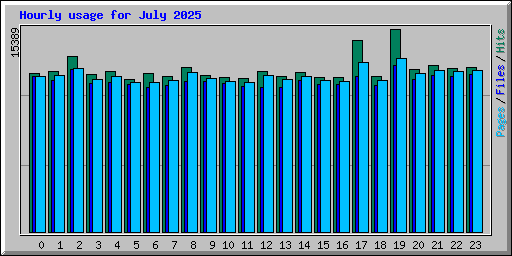 Hourly usage for July 2025