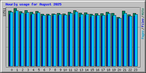 Hourly usage for August 2025