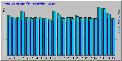 Hourly usage for December 2025