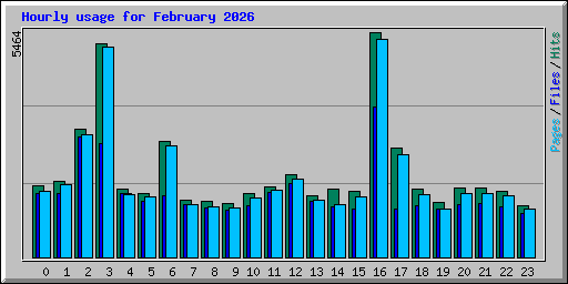 Hourly usage for February 2026