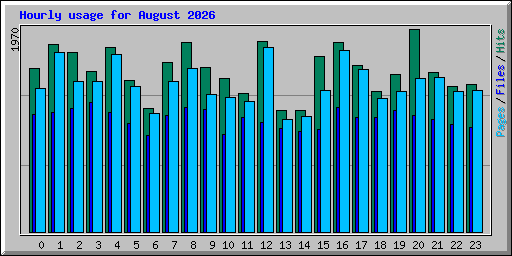 Hourly usage for August 2026